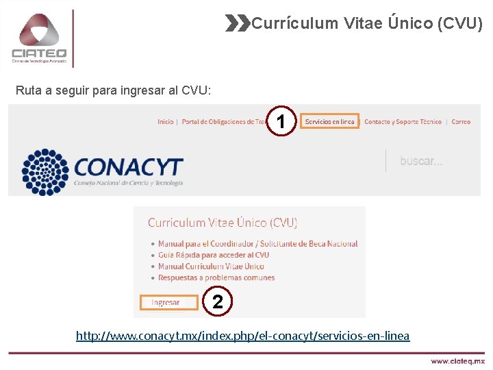 Currículum Vitae Único (CVU) Ruta a seguir para ingresar al CVU: 1 2 http: