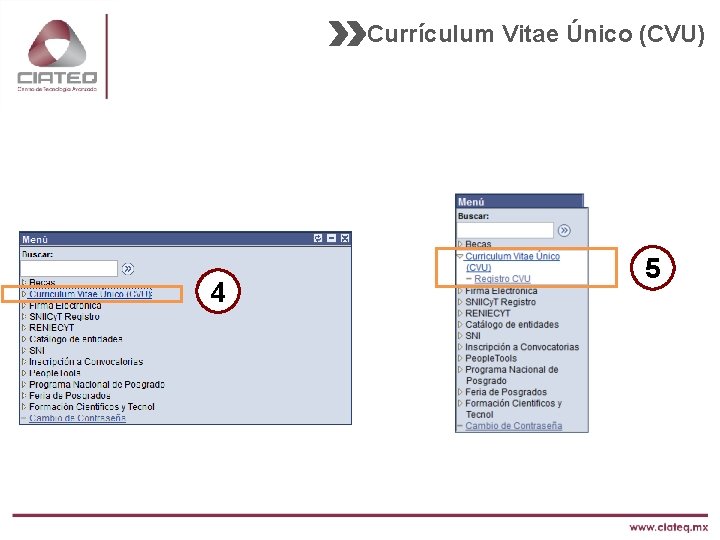 Currículum Vitae Único (CVU) 4 5 