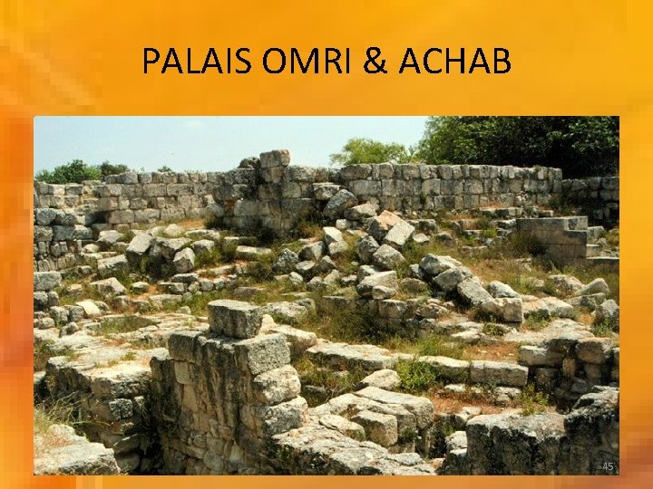 PALAIS OMRI & ACHAB 45 PALAIS OMRI & ACHAB 45