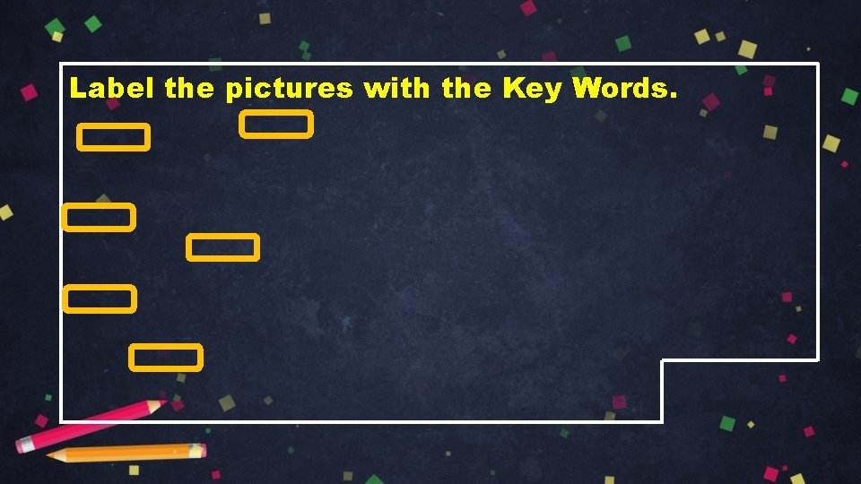 Label the pictures with the Key Words. 