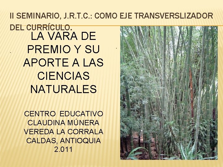 II SEMINARIO, J. R. T. C. : COMO EJE TRANSVERSLIZADOR DEL CURRÍCULO. . LA