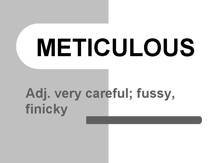 METICULOUS Adj. very careful; fussy, finicky 