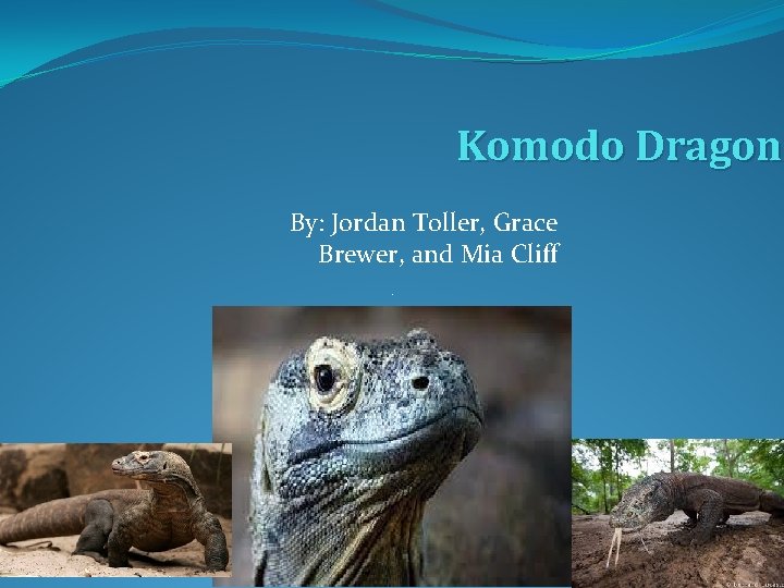 Komodo Dragon By: Jordan Toller, Grace Brewer, and Mia Cliff 