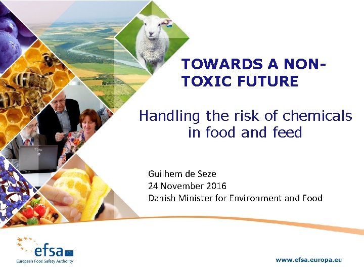 TOWARDS A NONTOXIC FUTURE Handling the risk of chemicals in food and feed Guilhem