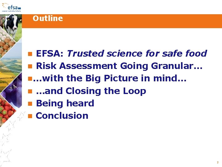 Outline EFSA: Trusted science for safe food Risk Assessment Going Granular… …with the Big