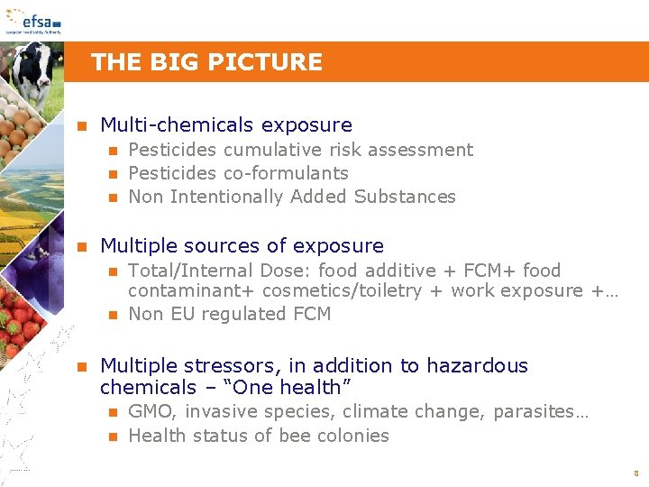 THE BIG PICTURE Multi-chemicals exposure Pesticides cumulative risk assessment Pesticides co-formulants Non Intentionally Added