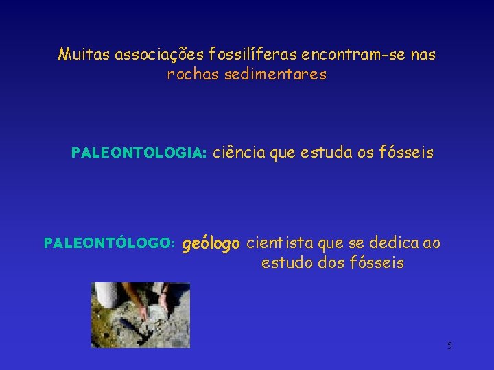 Muitas associações fossilíferas encontram-se nas rochas sedimentares PALEONTOLOGIA: PALEONTÓLOGO: ciência que estuda os fósseis