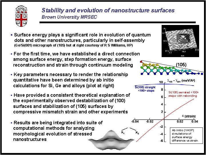 Stability and evolution of nanostructure surfaces Brown University