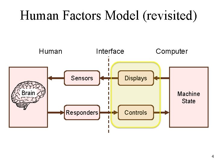 Human Factors Model (revisited) Human Interface Sensors Computer Displays Brain Machine State Responders Controls