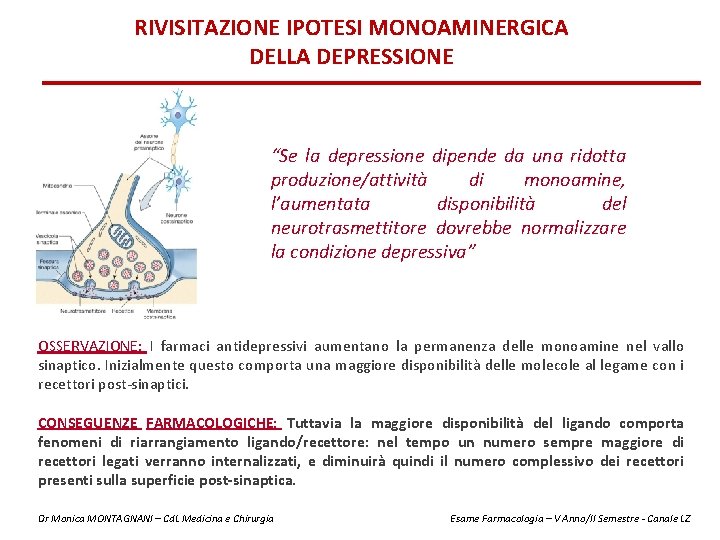 RIVISITAZIONE IPOTESI MONOAMINERGICA DELLA DEPRESSIONE “Se la depressione dipende da una ridotta produzione/attività di