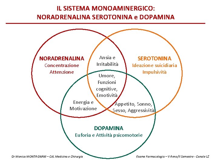 IL SISTEMA MONOAMINERGICO: NORADRENALINA SEROTONINA e DOPAMINA NORADRENALINA Concentrazione Attenzione Ansia e Irritabilità Umore,