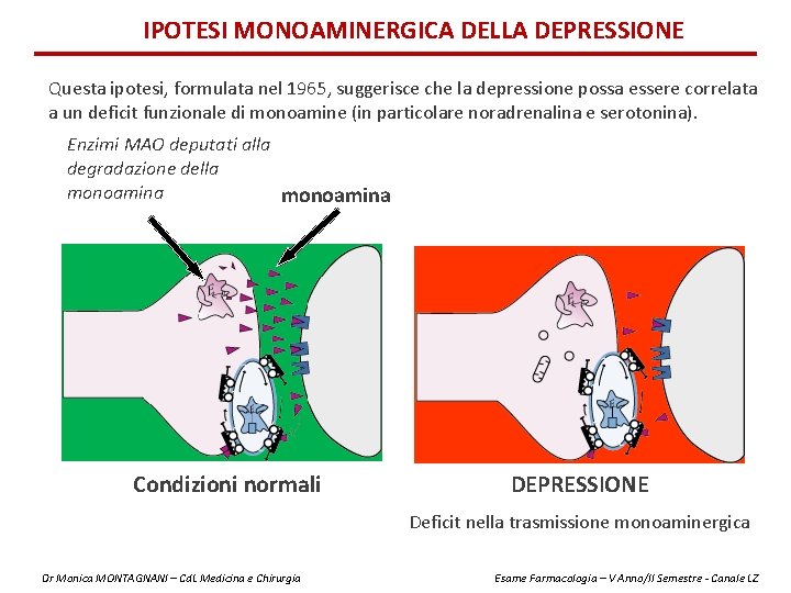 IPOTESI MONOAMINERGICA DELLA DEPRESSIONE Questa ipotesi, formulata nel 1965, suggerisce che la depressione possa