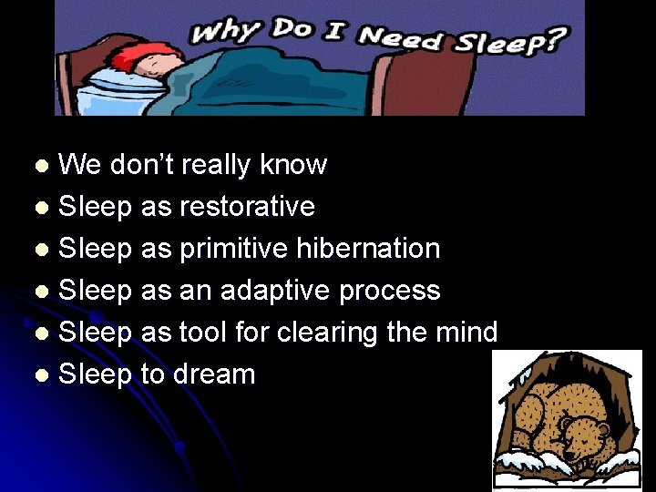 We don’t really know l Sleep as restorative l Sleep as primitive hibernation l