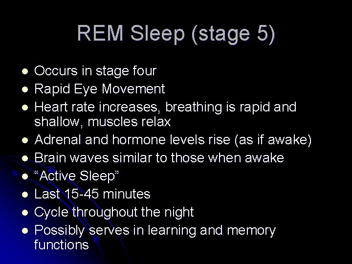 REM Sleep (stage 5) l l l l l Occurs in stage four Rapid