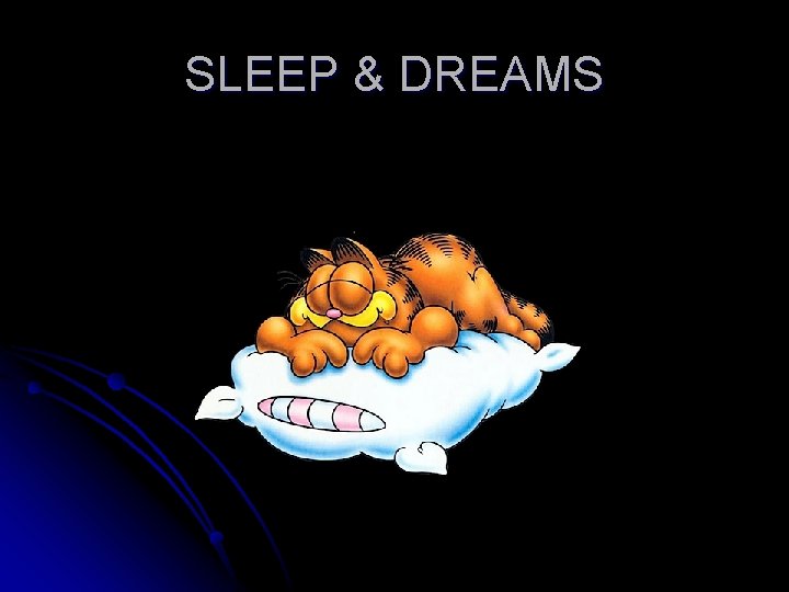 SLEEP & DREAMS 