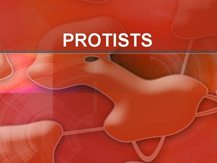 PROTISTS 