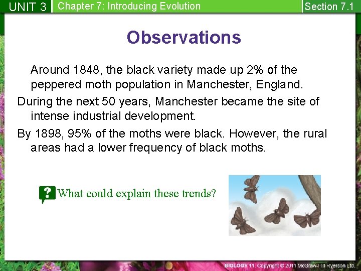UNIT 3 Chapter 7: Introducing Evolution Section 7. 1 Observations Around 1848, the black