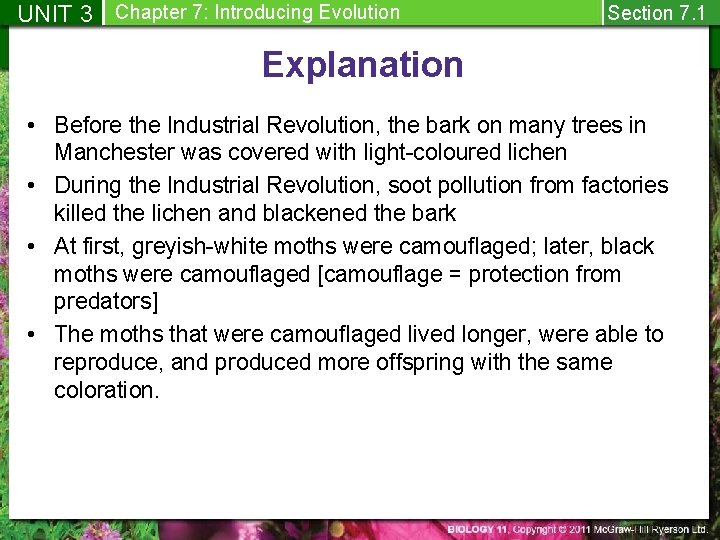 UNIT 3 Chapter 7: Introducing Evolution Section 7. 1 Explanation • Before the Industrial