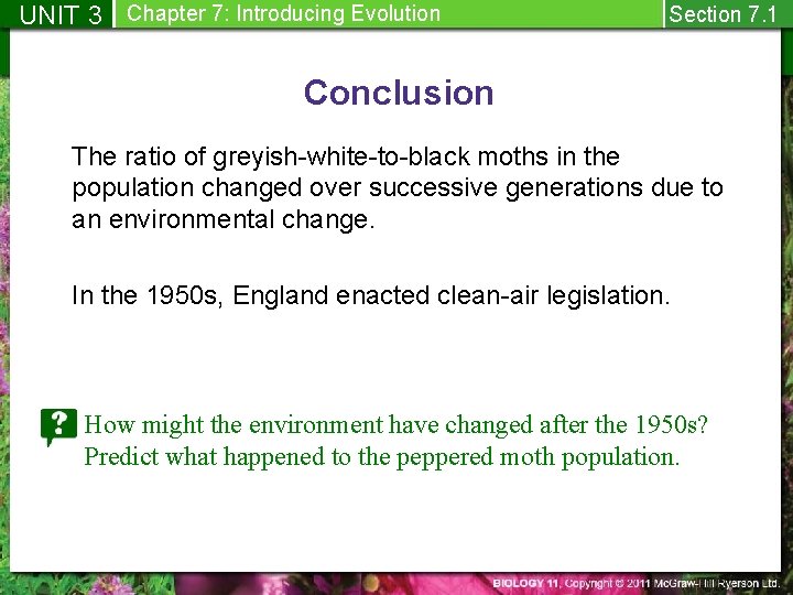 UNIT 3 Chapter 7: Introducing Evolution Section 7. 1 Conclusion The ratio of greyish-white-to-black