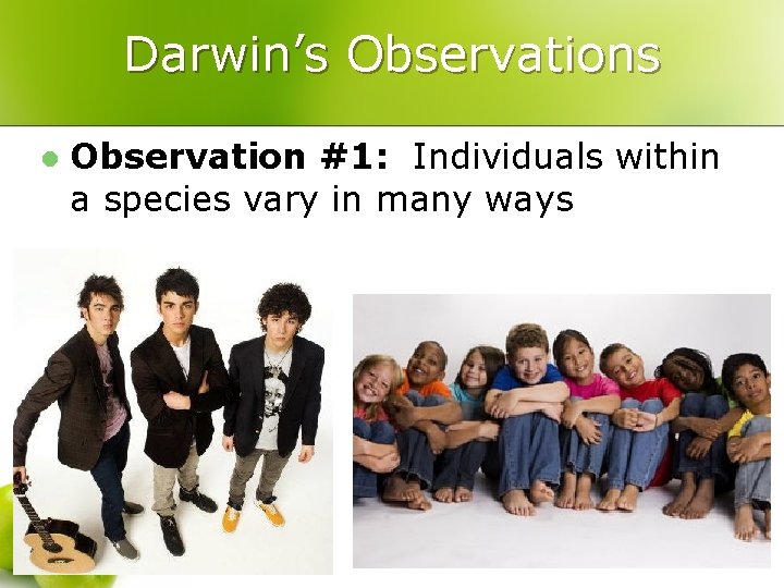 Darwin’s Observations l Observation #1: Individuals within a species vary in many ways 