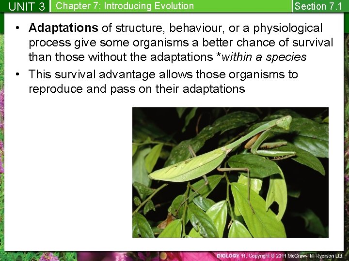 UNIT 3 Chapter 7: Introducing Evolution Section 7. 1 • Adaptations of structure, behaviour,