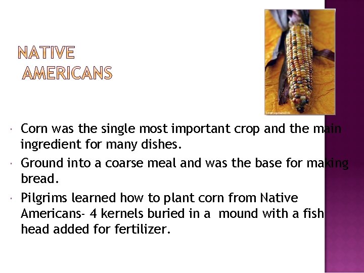  Corn was the single most important crop and the main ingredient for many