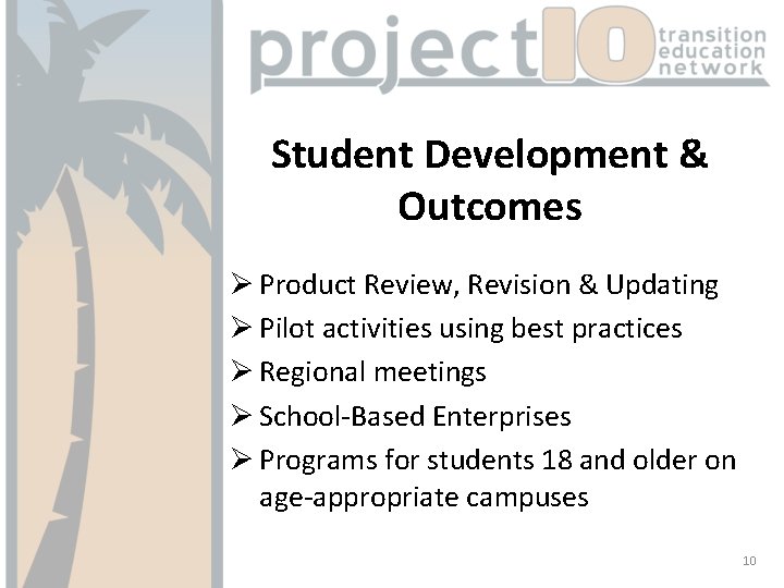 Student Development & Outcomes Ø Product Review, Revision & Updating Ø Pilot activities using