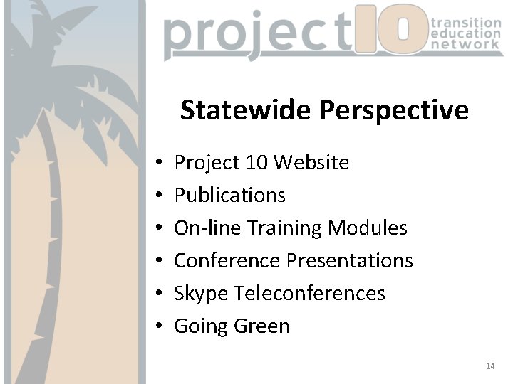 Statewide Perspective • • • Project 10 Website Publications On-line Training Modules Conference Presentations