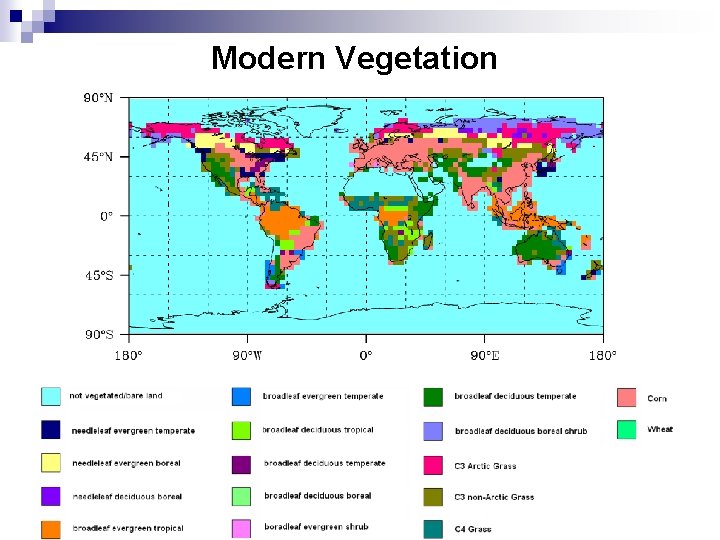 Modern Vegetation 