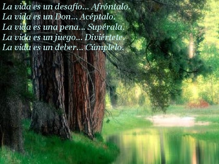 La vida es un desafío. . . Afróntalo. La vida es un Don. .