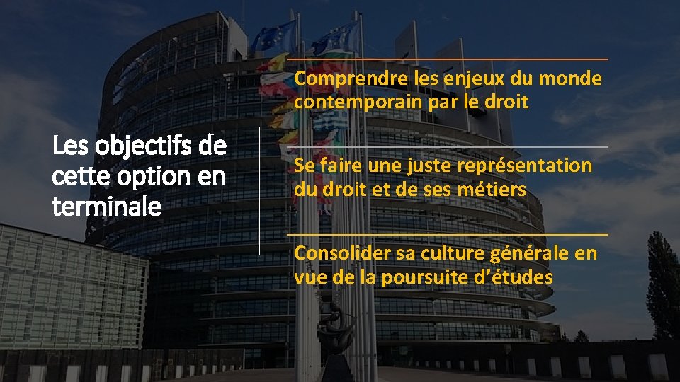 Comprendre les enjeux du monde contemporain par le droit Les objectifs de cette option