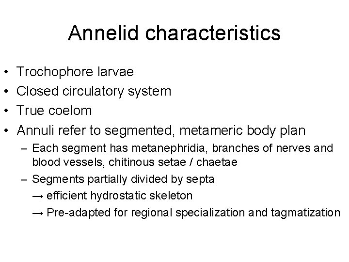 Annelid characteristics • • Trochophore larvae Closed circulatory system True coelom Annuli refer to