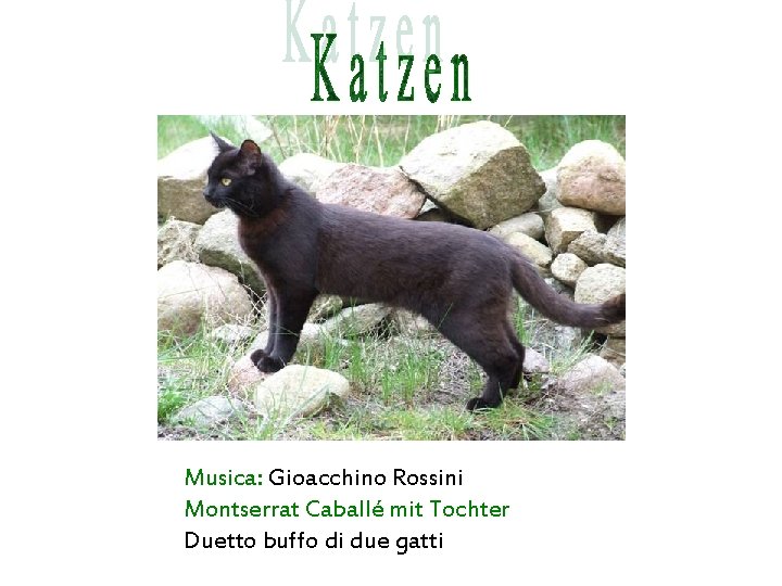 Musica: Gioacchino Rossini Montserrat Caballé mit Tochter Duetto buffo di due gatti 