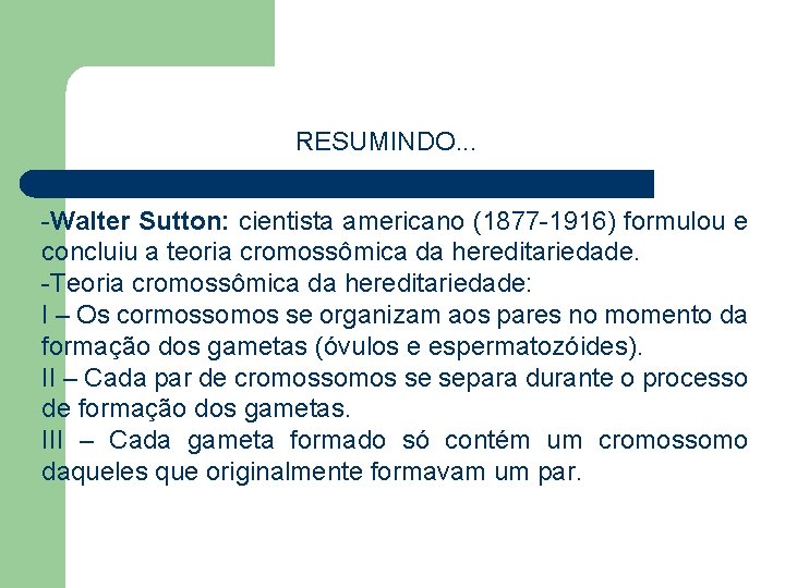 RESUMINDO. . . -Walter Sutton: cientista americano (1877 -1916) formulou e concluiu a teoria