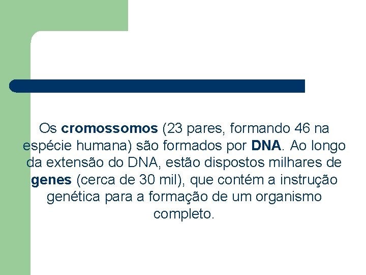 Os cromossomos (23 pares, formando 46 na espécie humana) são formados por DNA. Ao