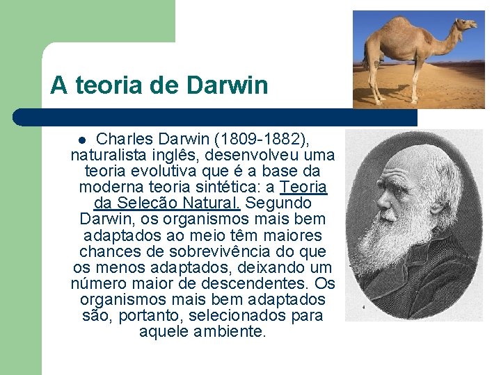 A teoria de Darwin Charles Darwin (1809 -1882), naturalista inglês, desenvolveu uma teoria evolutiva