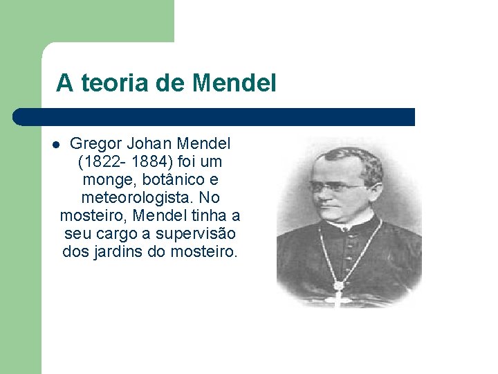 A teoria de Mendel Gregor Johan Mendel (1822 - 1884) foi um monge, botânico