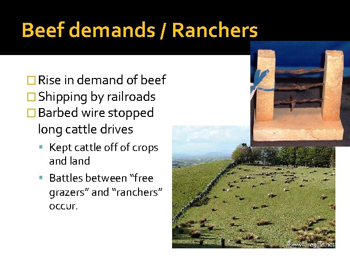 Beef demands / Ranchers � Rise in demand of beef � Shipping by railroads