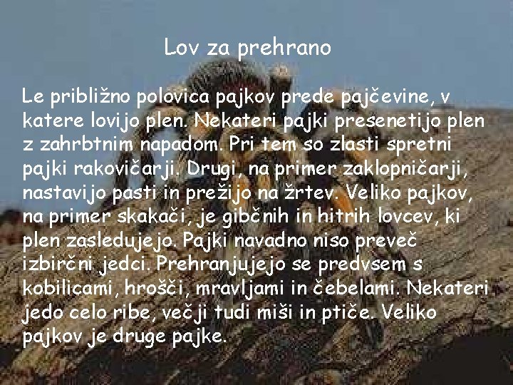 Lov za prehrano Le približno polovica pajkov prede pajčevine, v katere lovijo plen. Nekateri