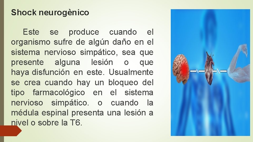 Shock neurogènico Este se produce cuando el organismo sufre de algún daño en el
