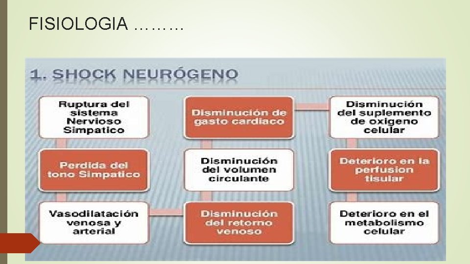 FISIOLOGIA ……… 