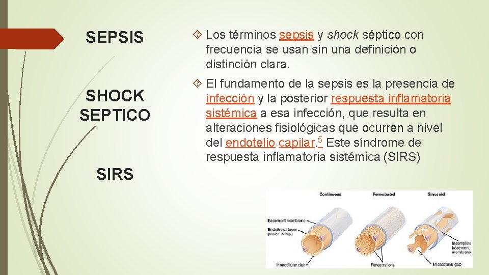 SEPSIS SHOCK SEPTICO SIRS Los términos sepsis y shock séptico con frecuencia se usan