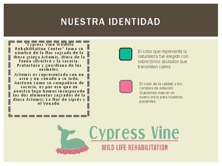 NUESTRA IDENTIDAD “Cypress Vine Wildlife Rehabilitation Center” toma su nombre de la flor sagrada