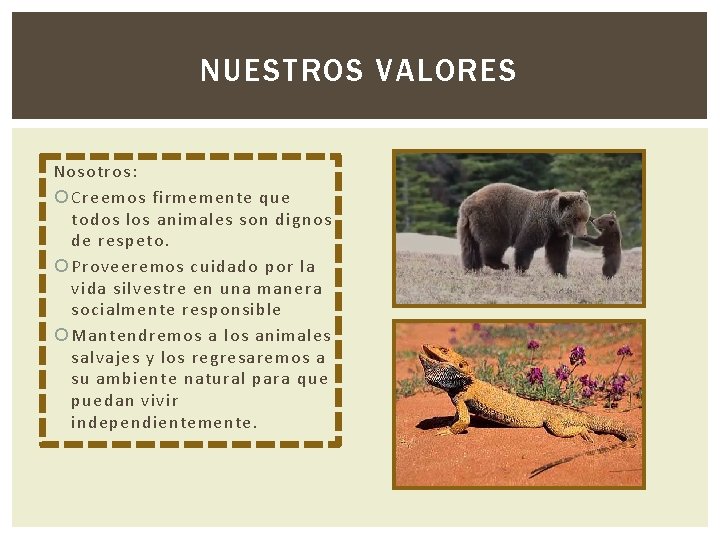 NUESTROS VALORES Nosotros: Creemos firmemente que todos los animales son dignos de respeto. Proveeremos