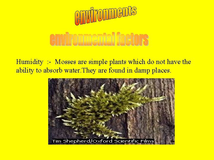 Humidity : - Mosses are simple plants which do not have the ability to