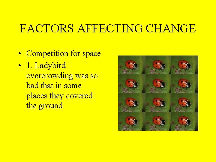 FACTORS AFFECTING CHANGE • Competition for space • 1. Ladybird overcrowding was so bad