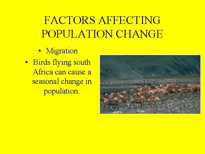 FACTORS AFFECTING POPULATION CHANGE • Migration • Birds flying south Africa can cause a