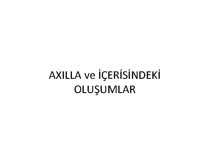 AXILLA ve İÇERİSİNDEKİ OLUŞUMLAR 