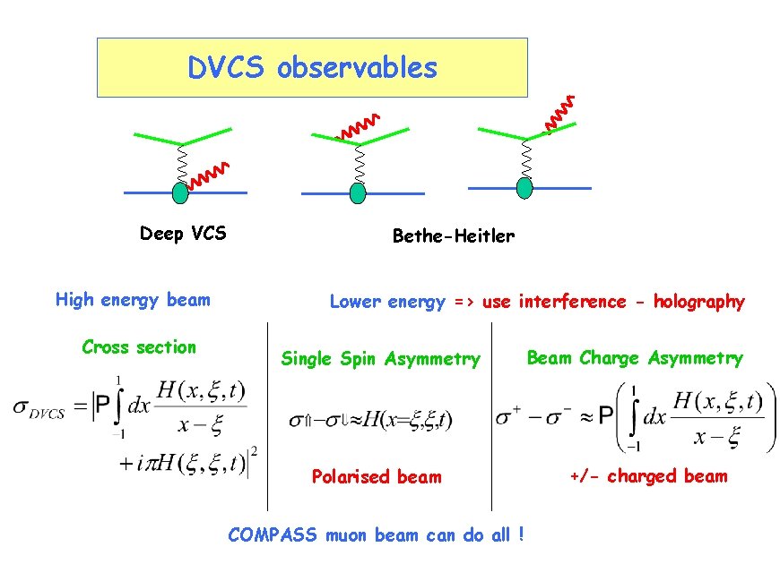 DVCS observables Deep VCS High energy beam Cross section Bethe-Heitler Lower energy => use