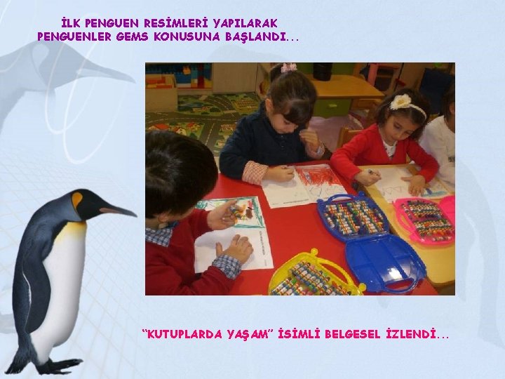 İLK PENGUEN RESİMLERİ YAPILARAK PENGUENLER GEMS KONUSUNA BAŞLANDI. . . “KUTUPLARDA YAŞAM” İSİMLİ BELGESEL